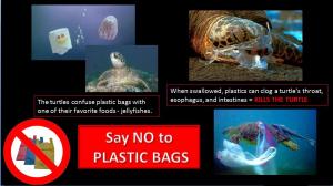 plastic bags and turtles