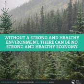 without strong environment no strong economy