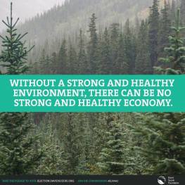 without strong environment no strong economy